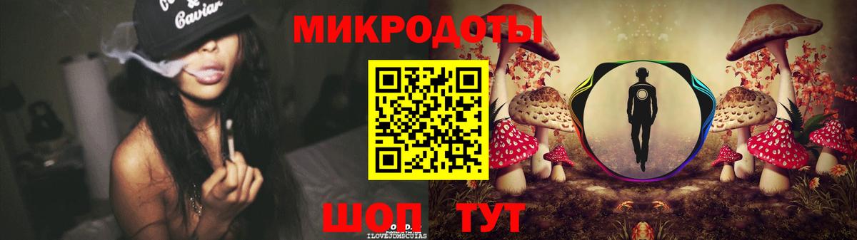 Галлюциногенные грибы Psilocybine cubensis Скопин